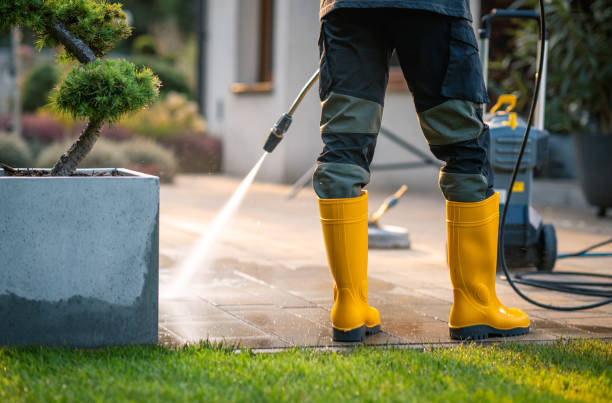 Best Power Washing Near Me  in Bellwood, PA